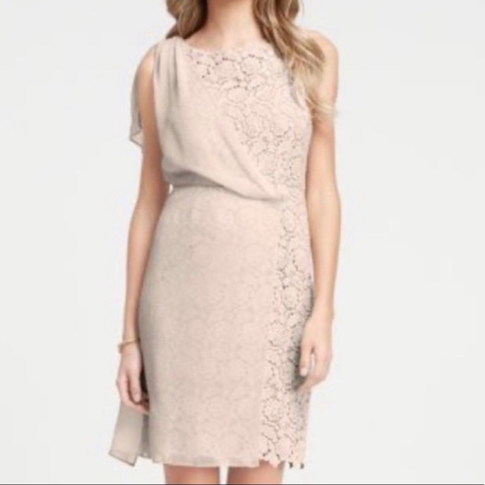 Ann Taylor lace dress